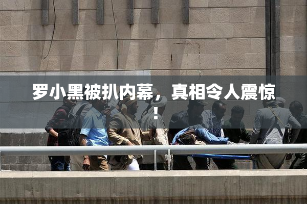 罗小黑被扒内幕，真相令人震惊！