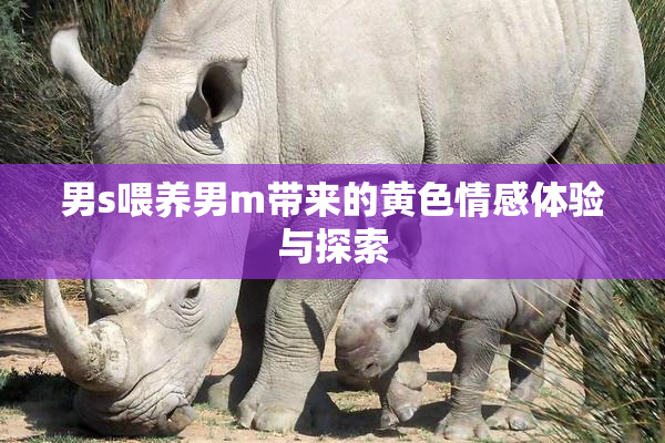 男s喂养男m带来的黄色情感体验与探索