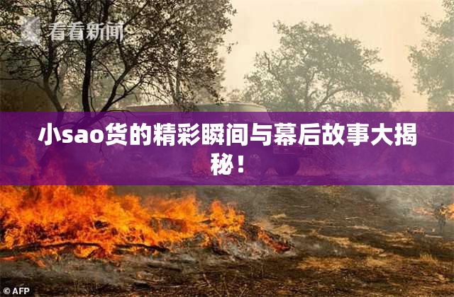 小sao货的精彩瞬间与幕后故事大揭秘！