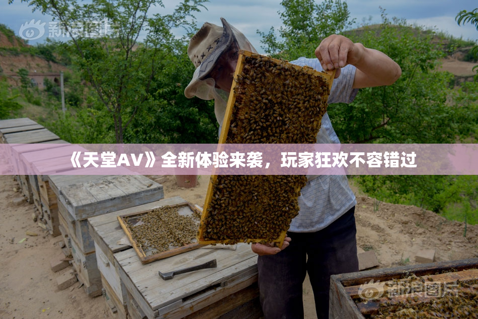 《天堂A∨》全新体验来袭，玩家狂欢不容错过