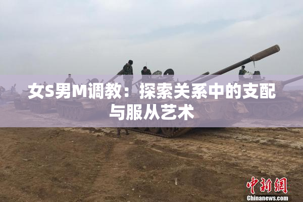 女S男M调教：探索关系中的支配与服从艺术