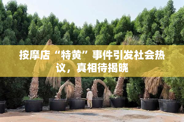 按摩店“特黄”事件引发社会热议，真相待揭晓