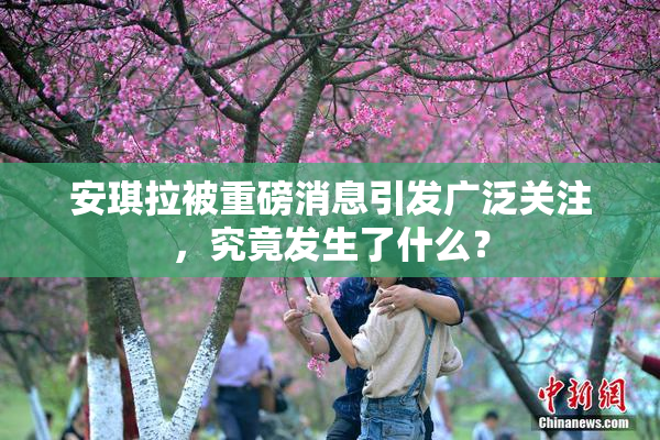 安琪拉被重磅消息引发广泛关注，究竟发生了什么？