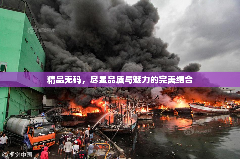 精品无码，尽显品质与魅力的完美结合