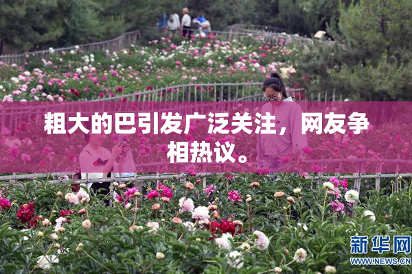 粗大的巴引发广泛关注，网友争相热议。