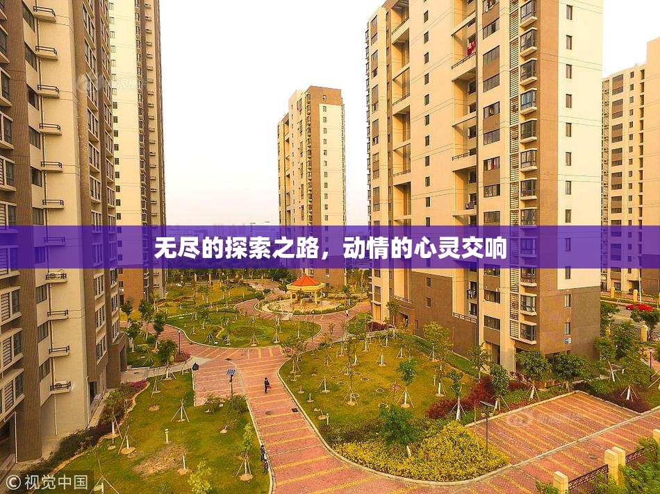无尽的探索之路，动情的心灵交响