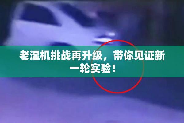 老湿机挑战再升级，带你见证新一轮实验！