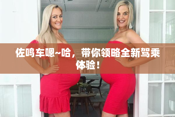 佐鸣车嗯~哈，带你领略全新驾乘体验！
