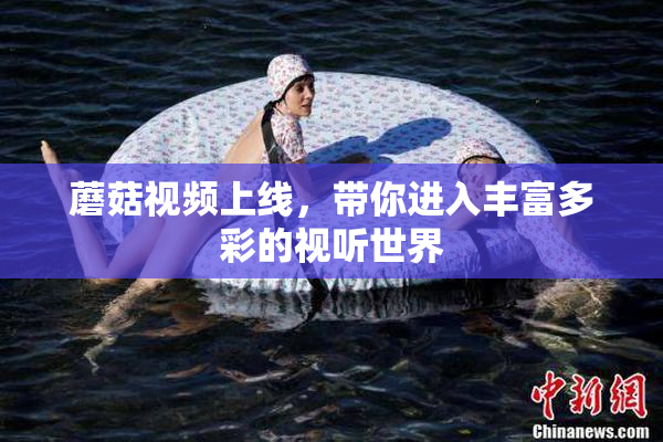 蘑菇视频上线，带你进入丰富多彩的视听世界