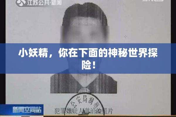 小妖精，你在下面的神秘世界探险！