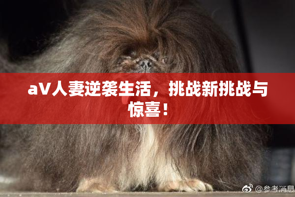 aV人妻逆袭生活，挑战新挑战与惊喜！