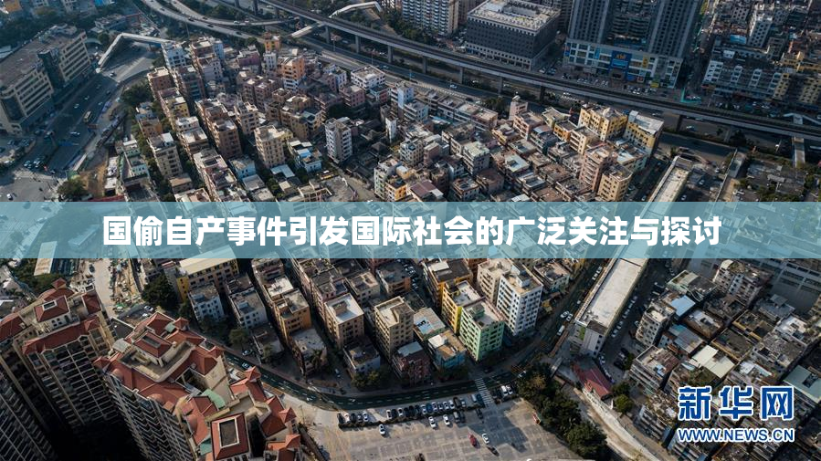 国偷自产事件引发国际社会的广泛关注与探讨