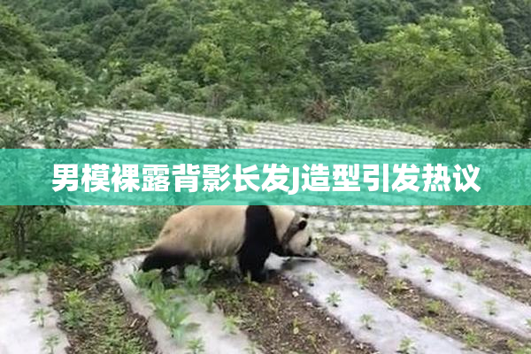 男模裸露背影长发J造型引发热议