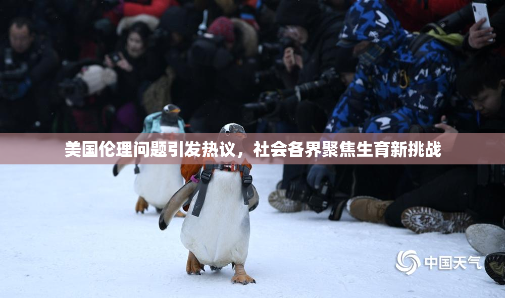 美国伦理问题引发热议，社会各界聚焦生育新挑战