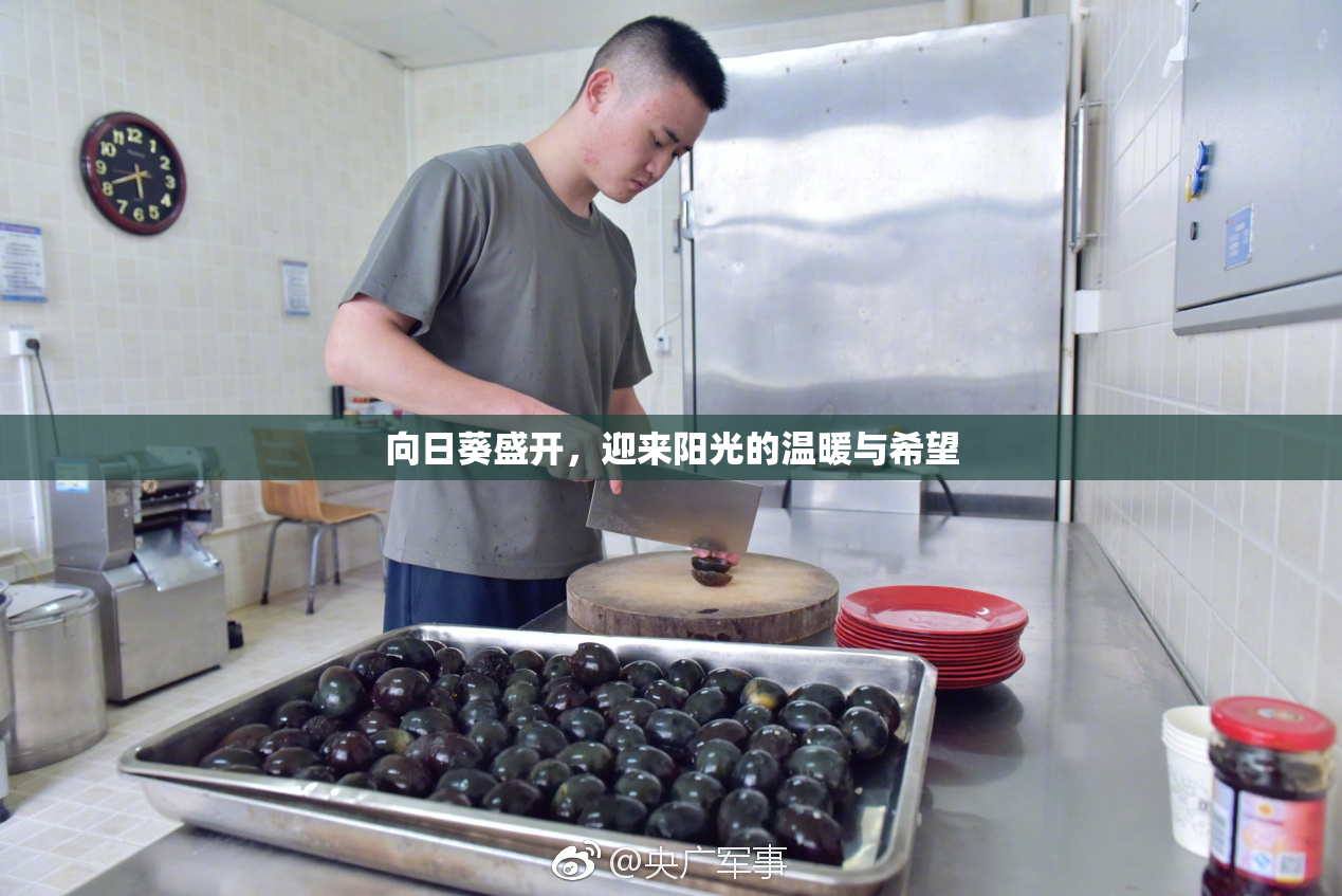向日葵盛开，迎来阳光的温暖与希望