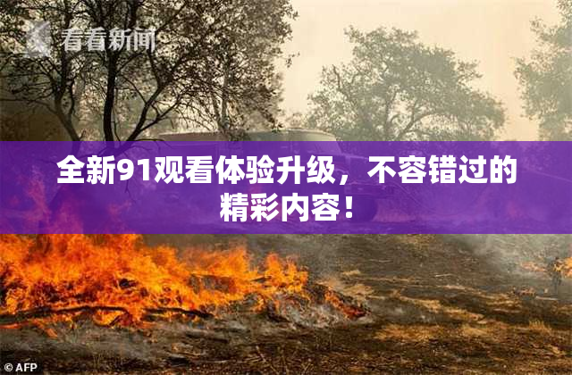 全新91观看体验升级，不容错过的精彩内容！
