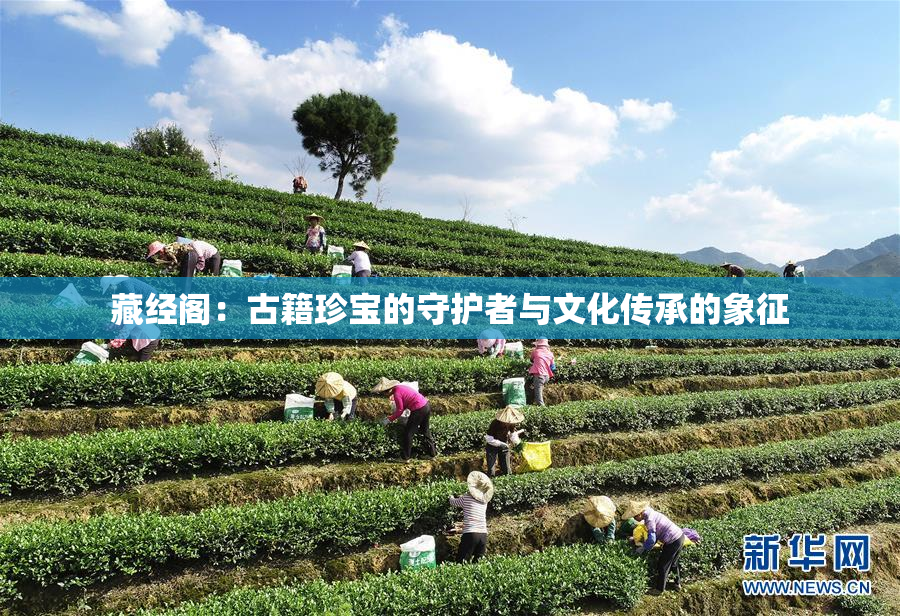 藏经阁：古籍珍宝的守护者与文化传承的象征