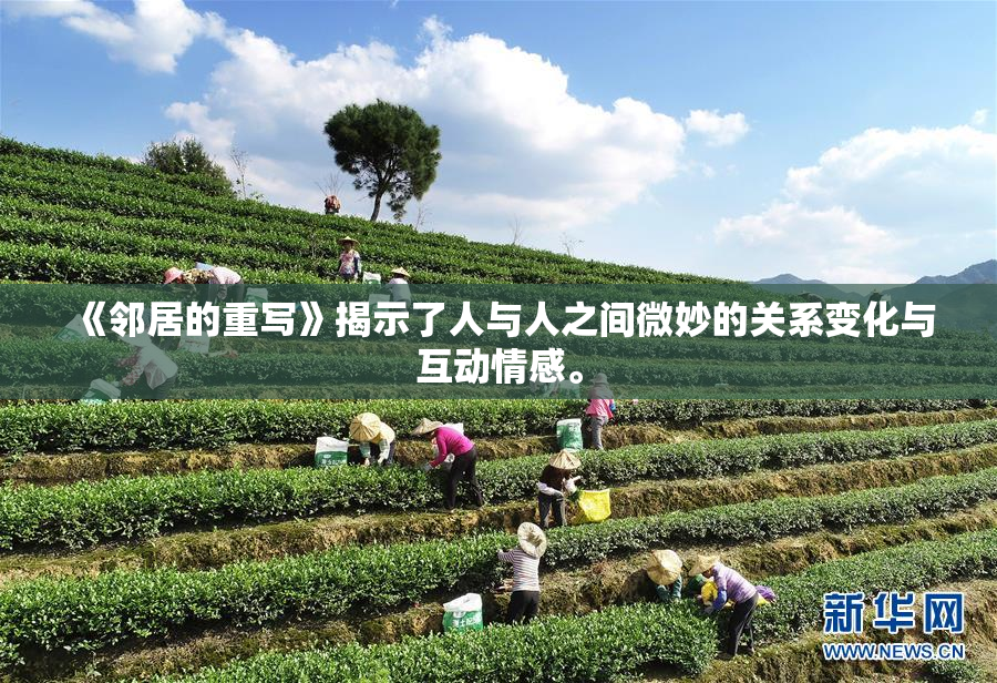 《邻居的重写》揭示了人与人之间微妙的关系变化与互动情感。