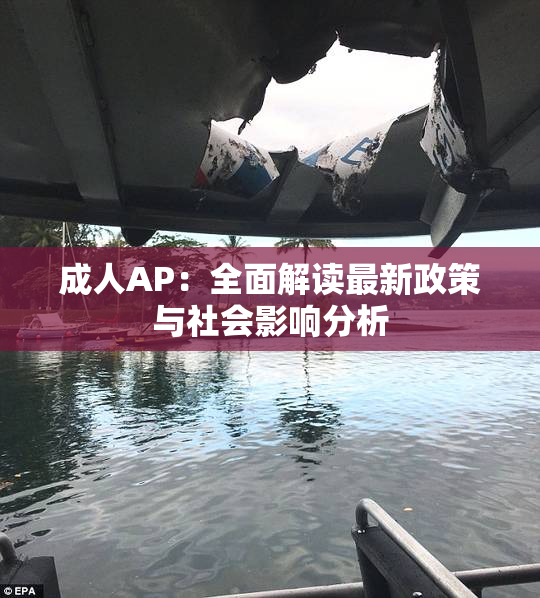 成人AP：全面解读最新政策与社会影响分析