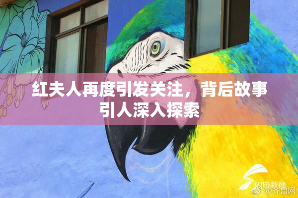 红夫人再度引发关注，背后故事引人深入探索