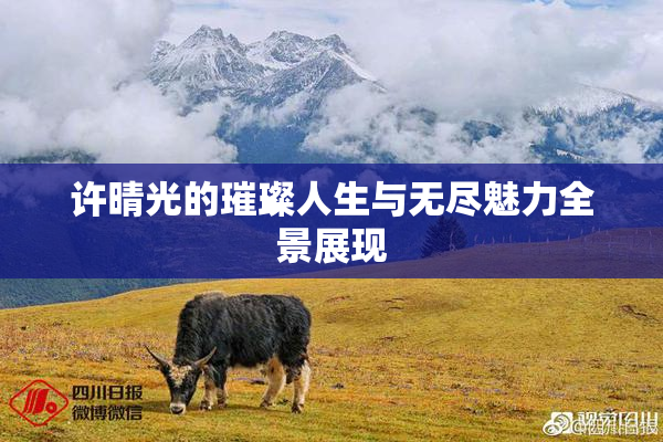 许晴光的璀璨人生与无尽魅力全景展现