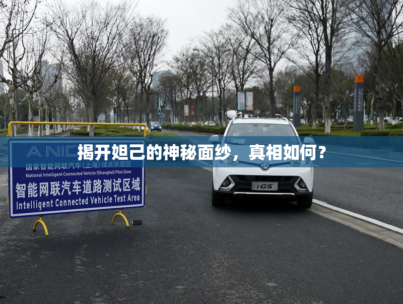 揭开妲己的神秘面纱，真相如何？