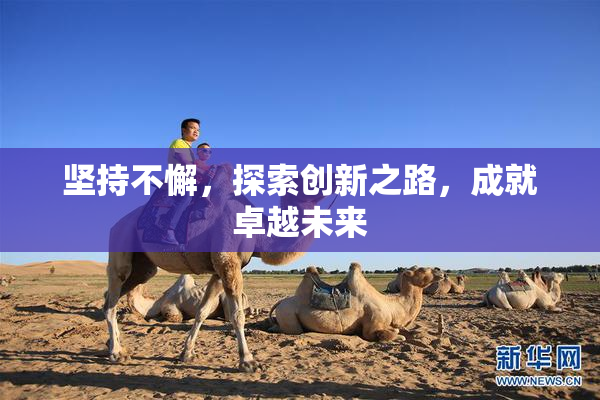 坚持不懈，探索创新之路，成就卓越未来