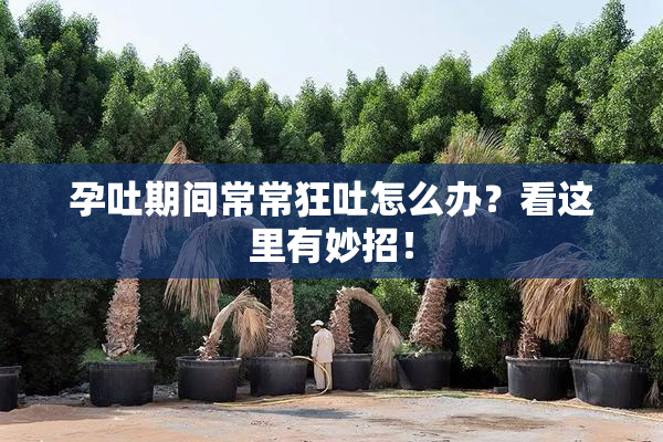 孕吐期间常常狂吐怎么办？看这里有妙招！