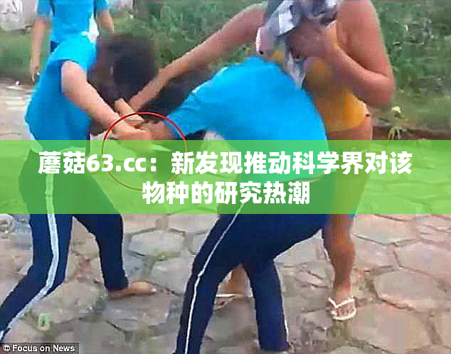 蘑菇63.㏄：新发现推动科学界对该物种的研究热潮