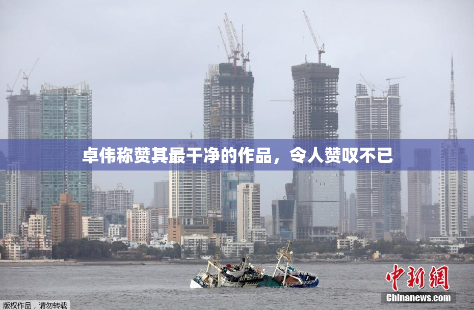 卓伟称赞其最干净的作品，令人赞叹不已