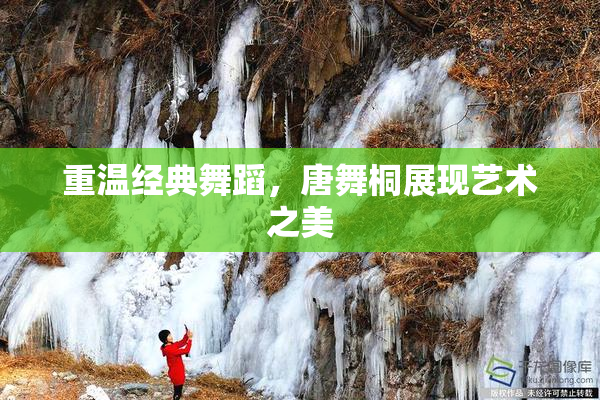 重温经典舞蹈，唐舞桐展现艺术之美