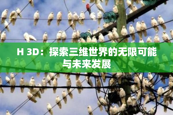 H 3D：探索三维世界的无限可能与未来发展