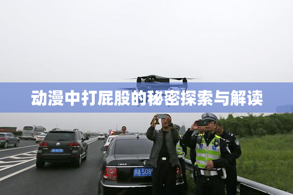 动漫中打屁股的秘密探索与解读