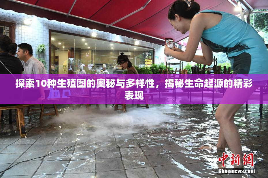 探索10种生殖图的奥秘与多样性，揭秘生命起源的精彩表现