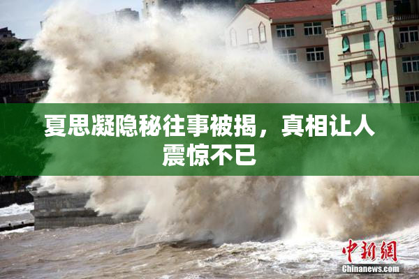 夏思凝隐秘往事被揭，真相让人震惊不已