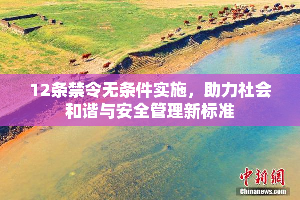 12条禁令无条件实施，助力社会和谐与安全管理新标准