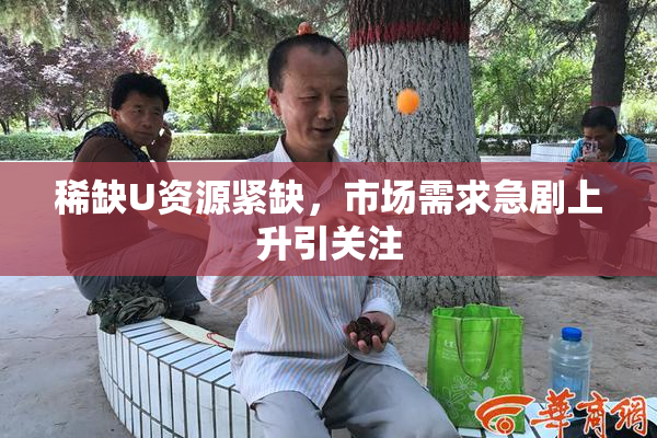 稀缺U资源紧缺，市场需求急剧上升引关注