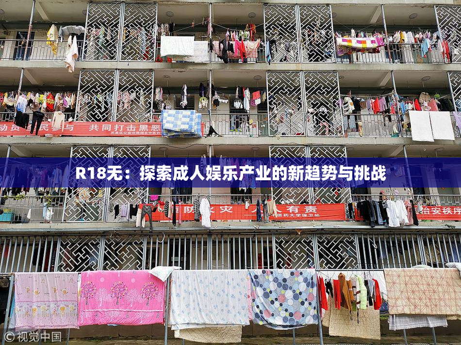 R18无：探索成人娱乐产业的新趋势与挑战