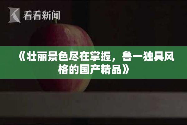 《壮丽景色尽在掌握，鲁一独具风格的国产精品》