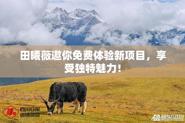 田曦薇邀你免费体验新项目，享受独特魅力！