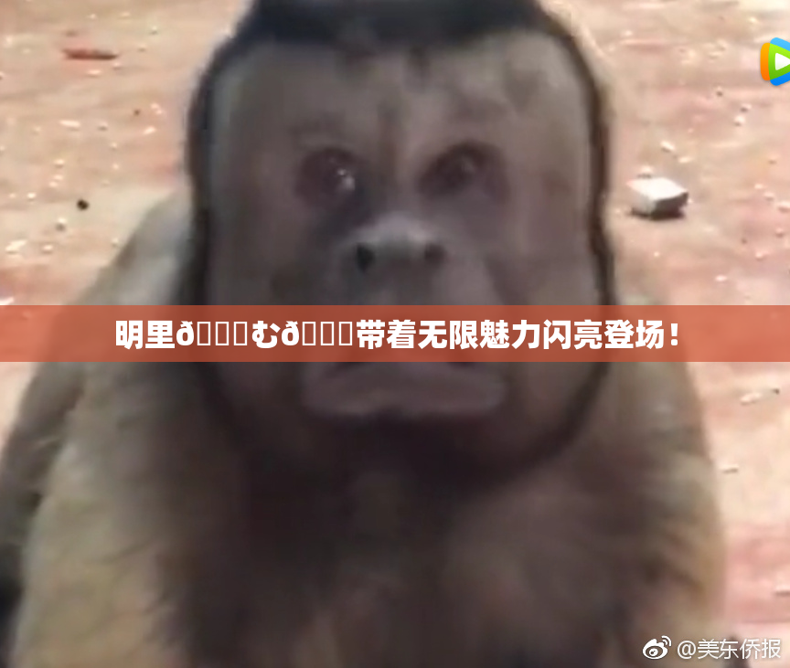 明里😚む🍍带着无限魅力闪亮登场！
