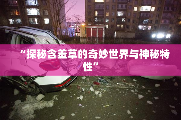 “探秘含羞草的奇妙世界与神秘特性”