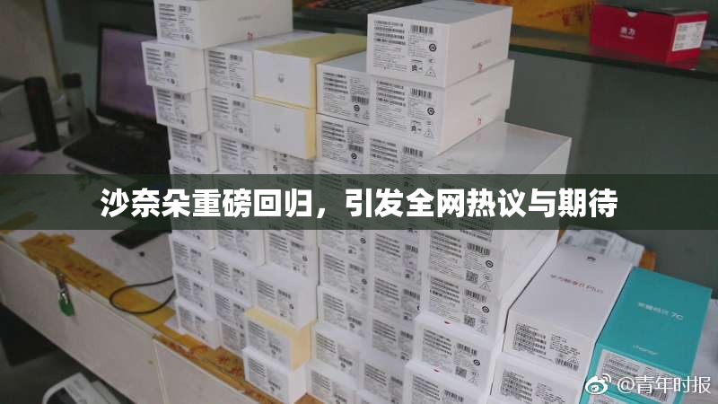 沙奈朵重磅回归，引发全网热议与期待