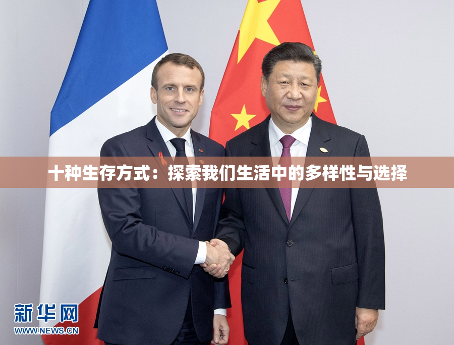 十种生存方式：探索我们生活中的多样性与选择