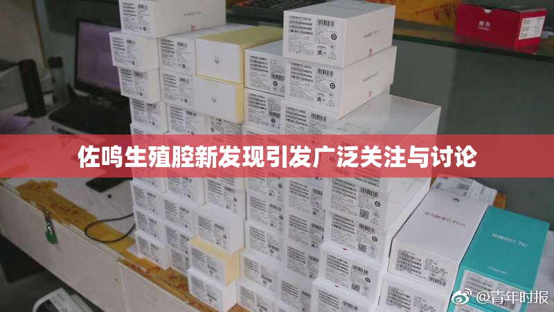 佐鸣生殖腔新发现引发广泛关注与讨论
