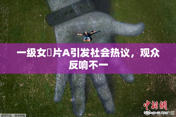 一级女婬片A引发社会热议，观众反响不一