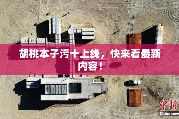 胡桃本子污十上线，快来看最新内容！