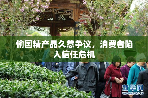 偷国精产品久惹争议，消费者陷入信任危机