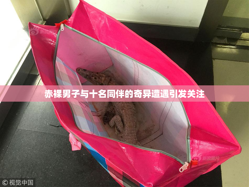 赤裸男子与十名同伴的奇异遭遇引发关注