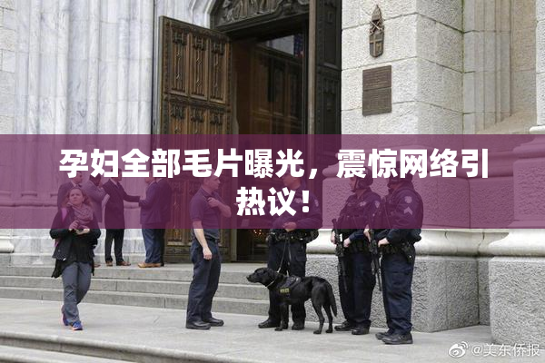 孕妇全部毛片曝光，震惊网络引热议！